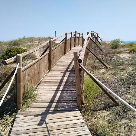 Paraiso * Daimus