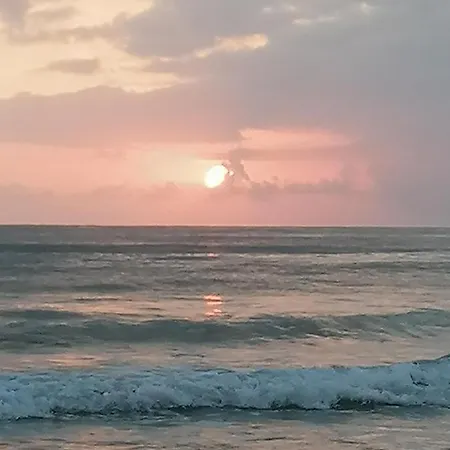 Paraiso Апартаменты Даймус